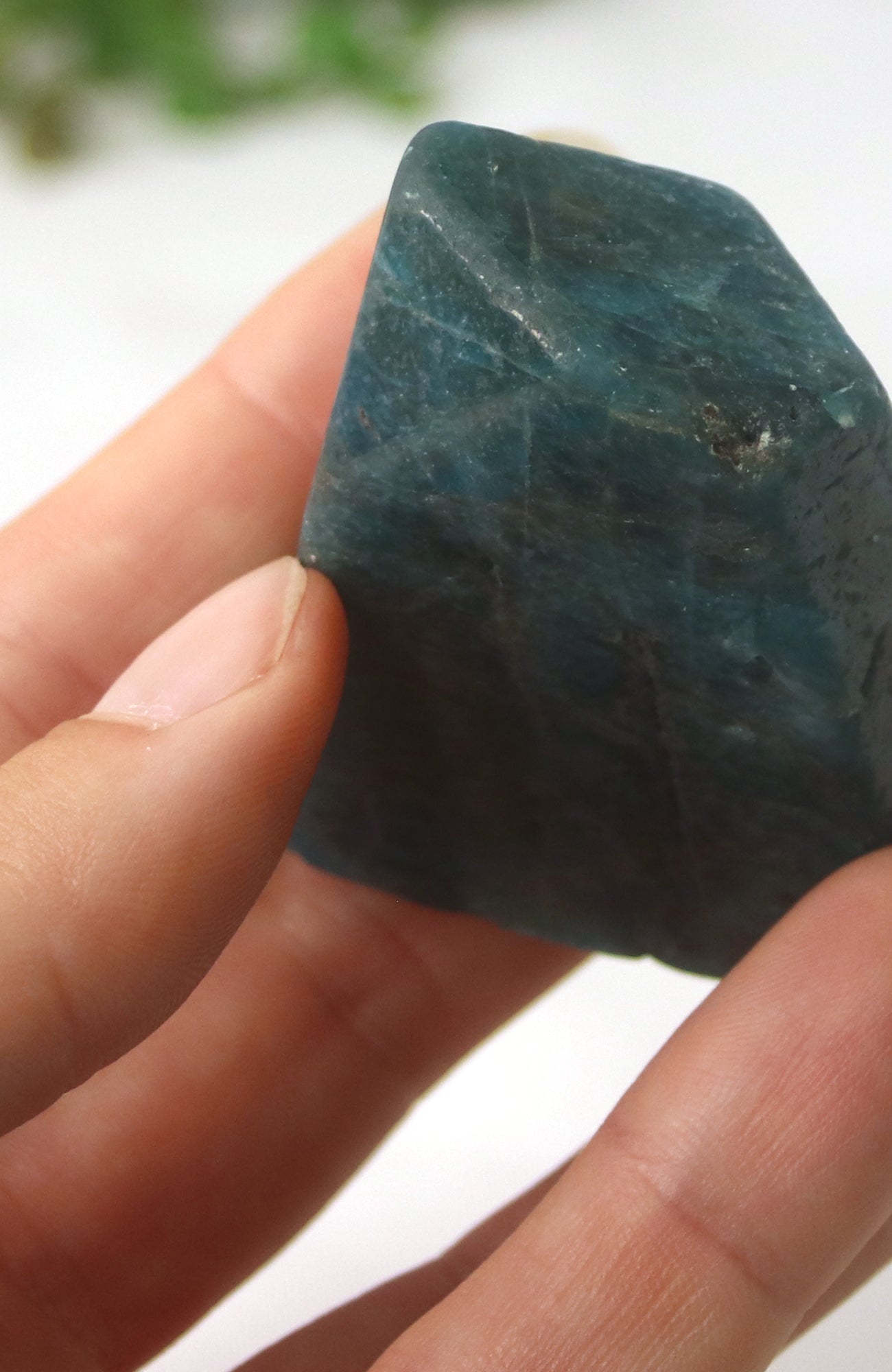 Blue Apatite Freeform